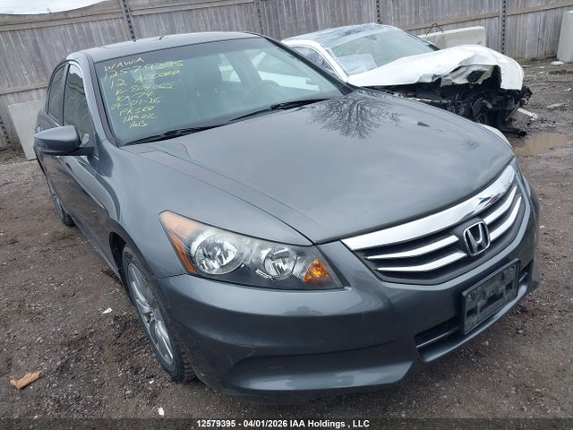 HONDA ACCORD EX-L - 1