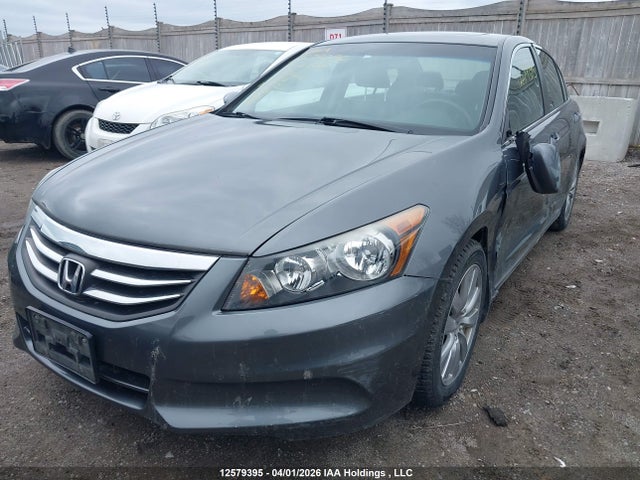 HONDA ACCORD EX-L - 2