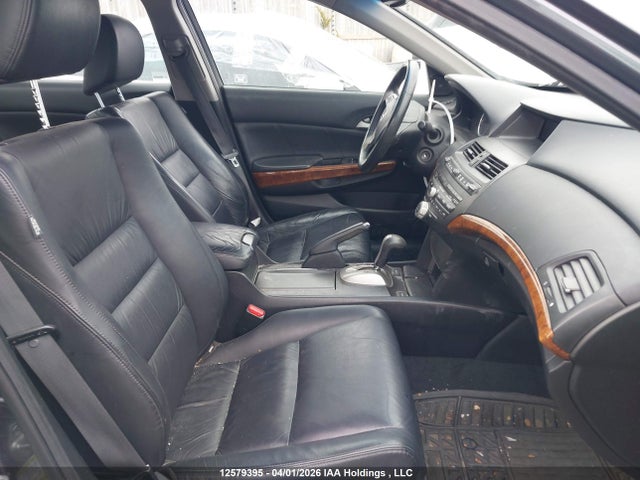 HONDA ACCORD EX-L - 5