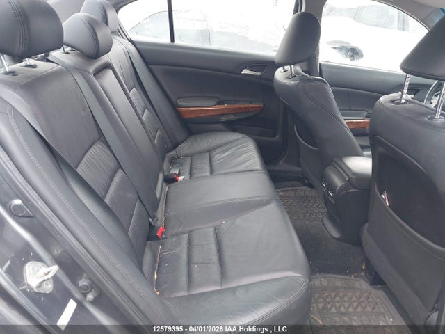 HONDA ACCORD EX-L - 8