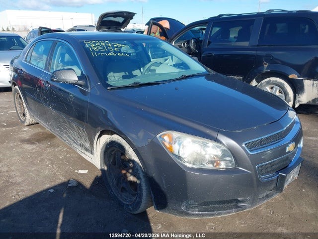 CHEVROLET MALIBU - 1