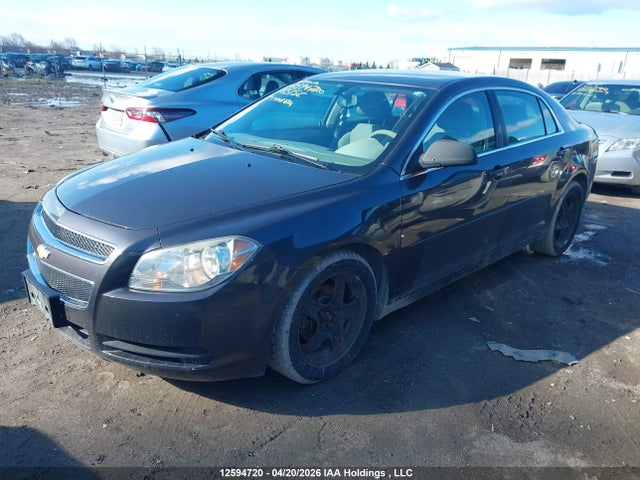 CHEVROLET MALIBU - 2