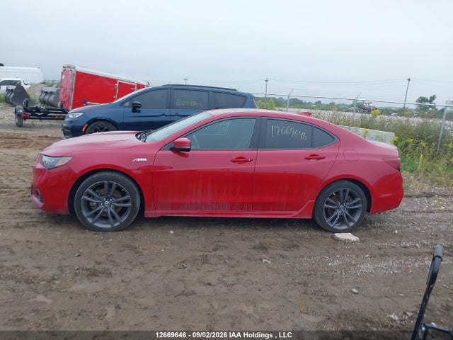2019 Acura TLX TECHNOLOGY/A-SPEC 照片 14