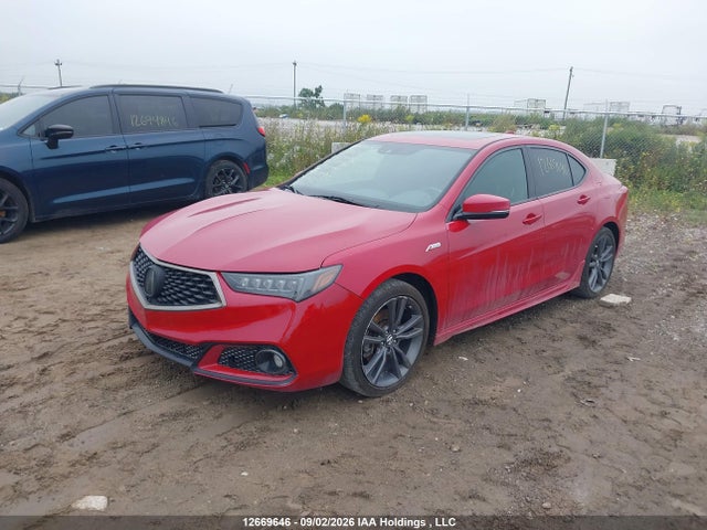 2019 Acura TLX TECHNOLOGY/A-SPEC 照片 2