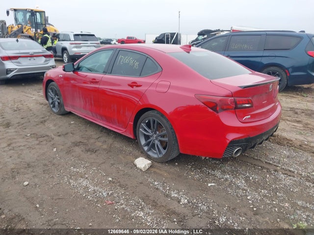 2019 Acura TLX TECHNOLOGY/A-SPEC 照片 3