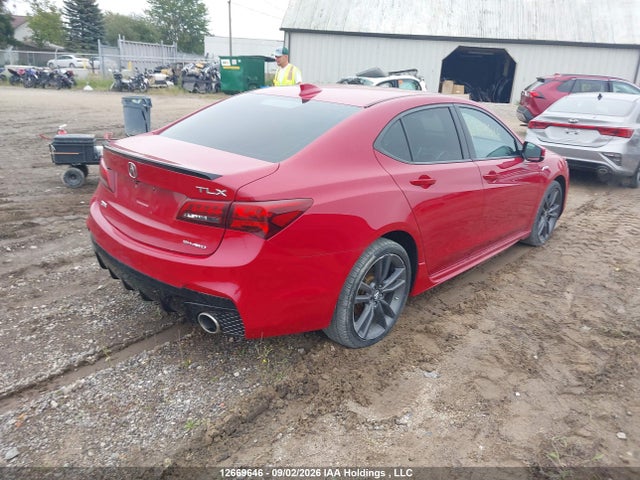 2019 Acura TLX TECHNOLOGY/A-SPEC 照片 4
