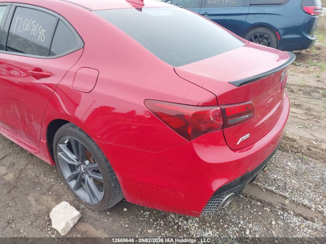 2019 Acura TLX TECHNOLOGY/A-SPEC 照片 6
