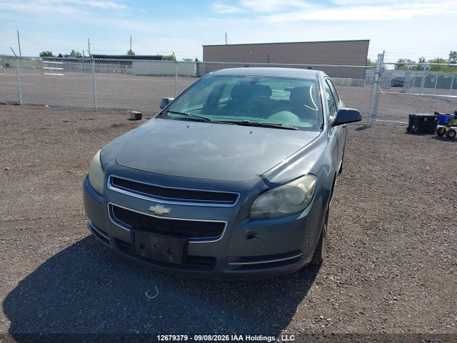 2009 Chevrolet MALIBU 1LT 照片 2