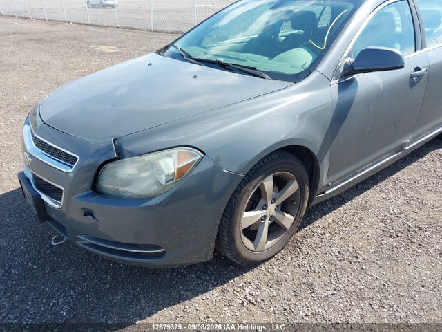 2009 Chevrolet MALIBU 1LT 照片 6