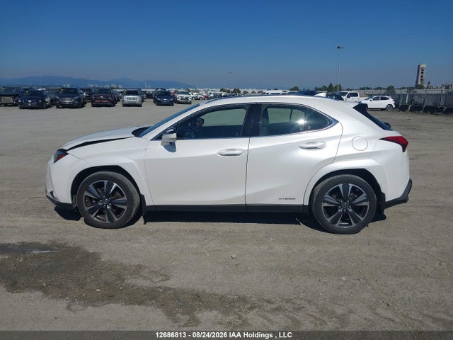 2022 Lexus UX 250H 照片 14