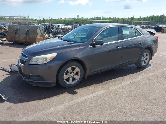 2013 Chevrolet MALIBU LS 照片 2