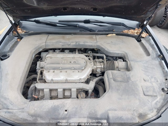 2012 Acura TL 照片 10