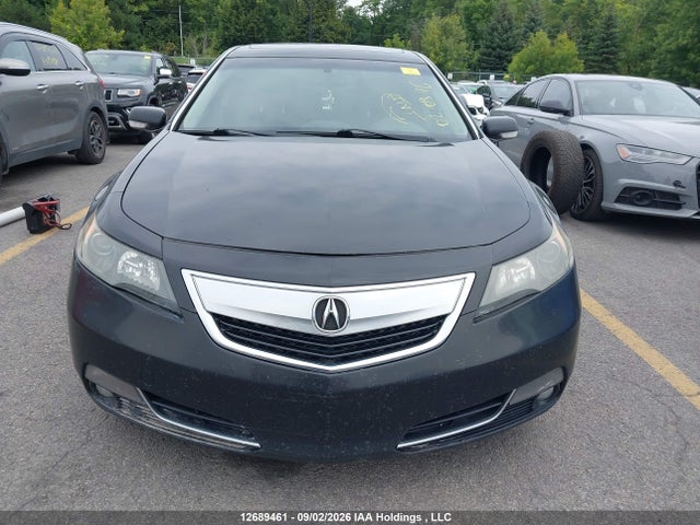 2012 Acura TL 照片 12