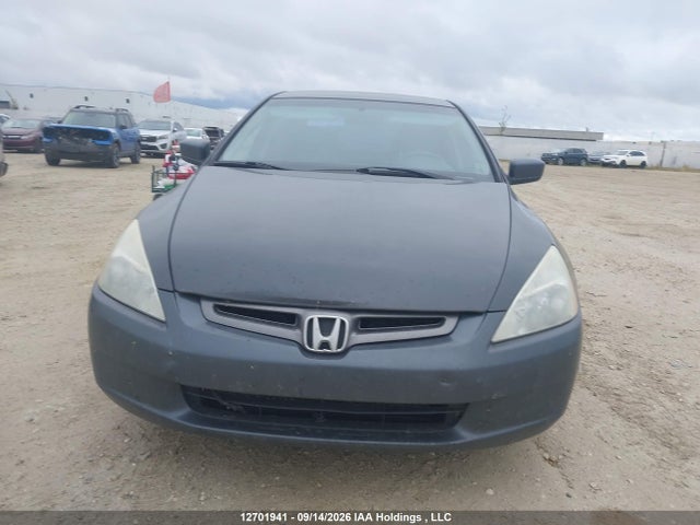 صورة 13 لـ 2003 Honda ACCORD EX-L