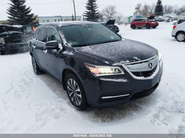 Auction sale of the 2016 Acura Mdx Technology, vin: 5FRYD4H42GB505036, lot number: 30001656