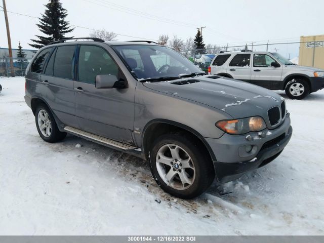 Auction sale of the 2005 Bmw X5 3.0i, vin: 5UXFA13595LY00840, lot number: 30001944