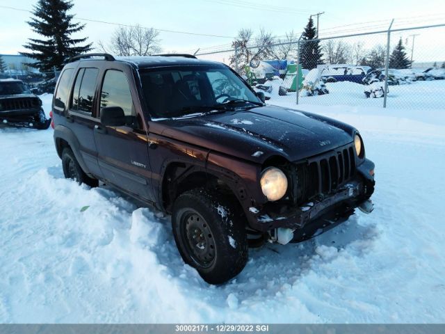 Auction sale of the 2004 Jeep Liberty Sport, vin: 1J4GL48K04W135298, lot number: 30002171