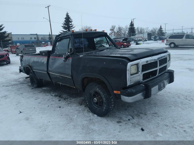 Dodge W-series W150 1992 1B7HM16Y5NS585048 главное изображение