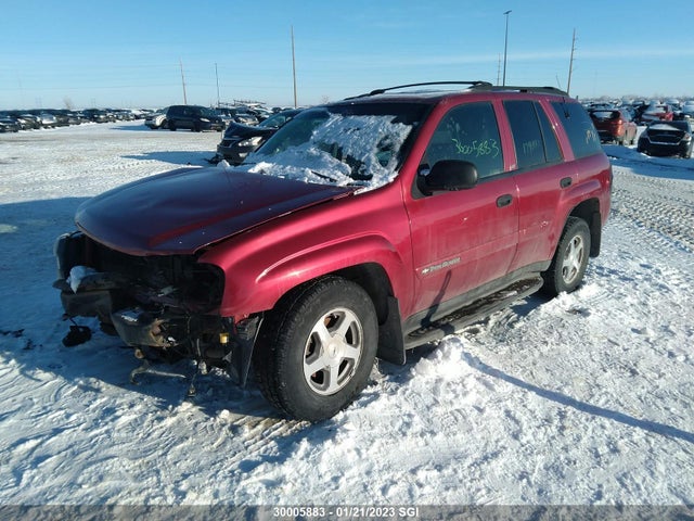 Chevrolet Trailblazer 2003 1GNDT13S432338125 Image 2