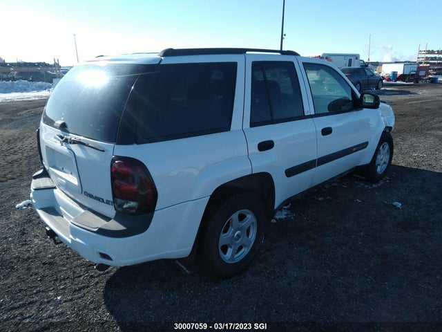 Chevrolet Trailblazer 2003 1GNDT13S832157013 Image 5