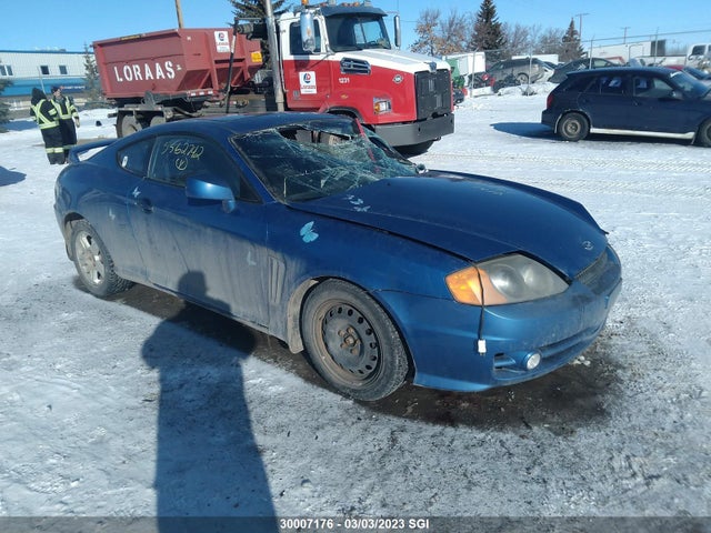Hyundai Tiburon Se 2004 KMHHN65D04U138795 главное изображение