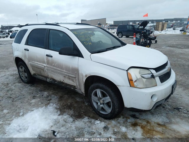 Chevrolet EQUINOX LS 2008 2CNDL13F586042032 zdjęcie główne