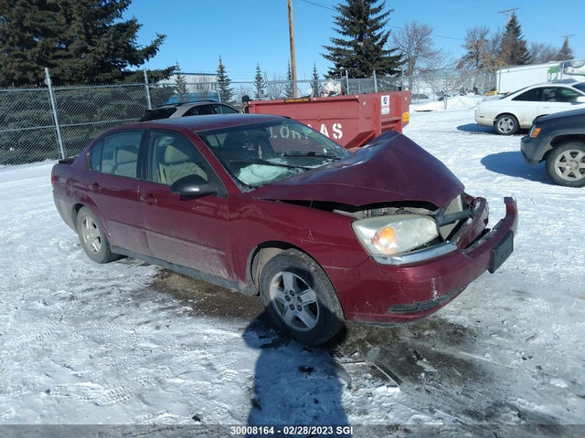 Chevrolet MALIBU LS 2005 1G1ZT52865F237359 Image 1