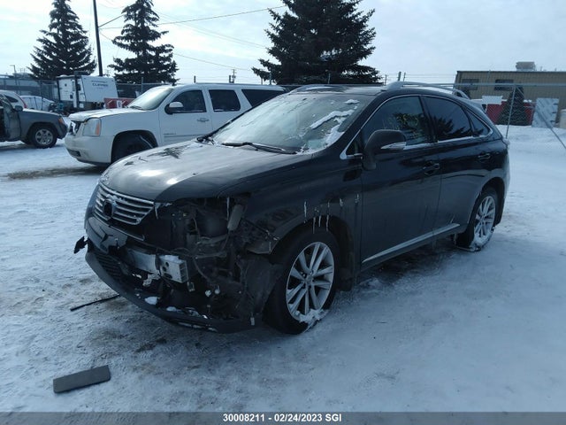 2T2BK1BA7FC319033 Lexus Rx 350/base/f Sport