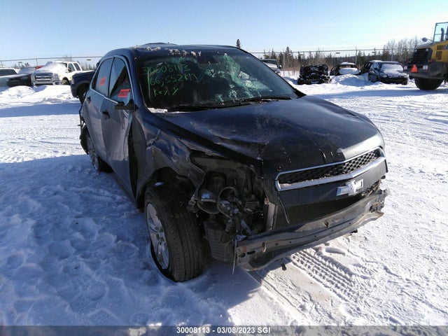 Chevrolet EQUINOX LS 2014 2GNFLEEK9E6342433 zdjęcie główne