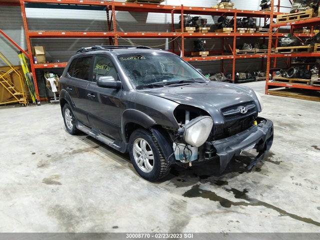 Hyundai Tucson Gl/gls 2007 KM8JM72D27U647273 zdjęcie główne