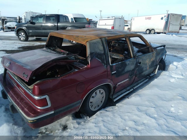 1C3BN4639JD176398 Chrysler Dynasty
