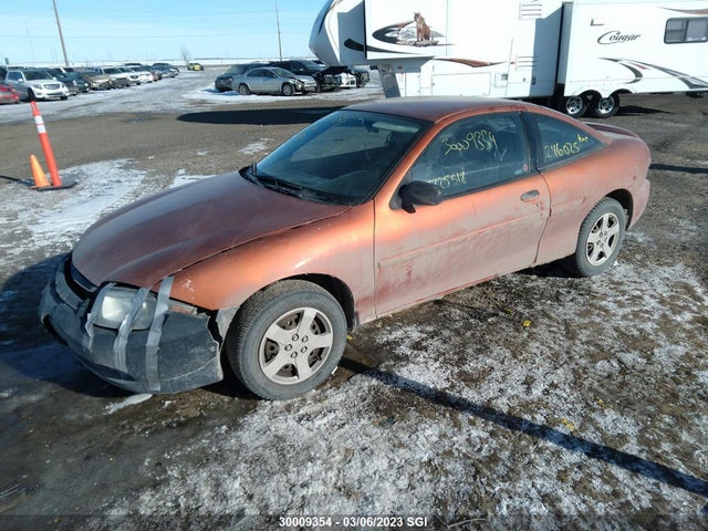 Chevrolet Cavalier 2004 1G1JC12FX47225518 Image 2
