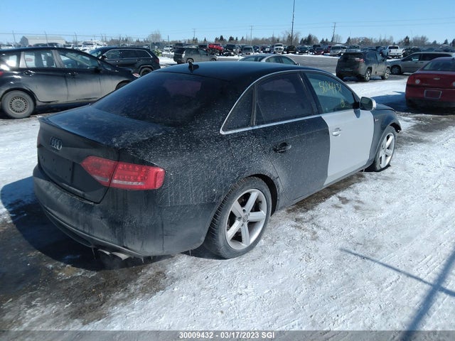 WAUBGCFL6BA116241 Audi S4 Premium Plus
