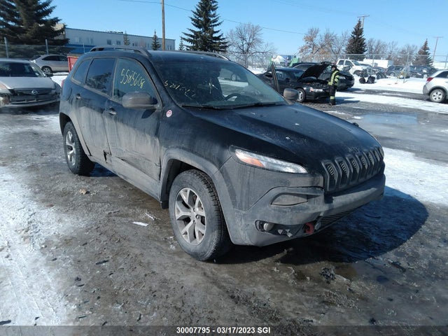 Jeep Cherokee Trailhawk 2017 1C4PJMBS1HW581647 главное изображение