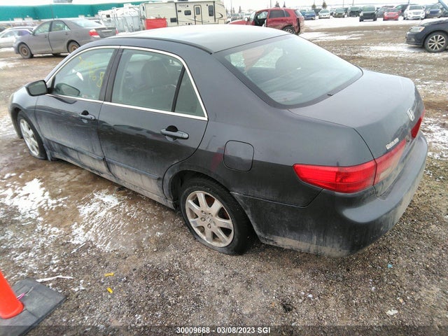 Honda ACCORD EX 2005 1HGCM66525A800017 Image 4