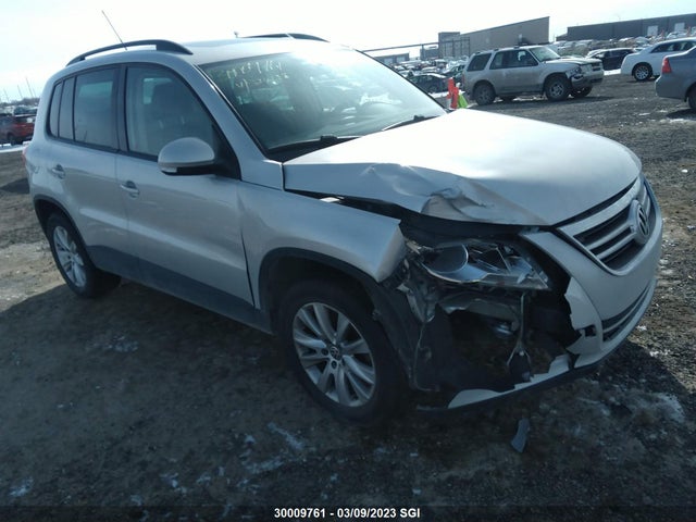 Volkswagen Tiguan Se/sel 2009 WVGBV75N79W524128 главное изображение