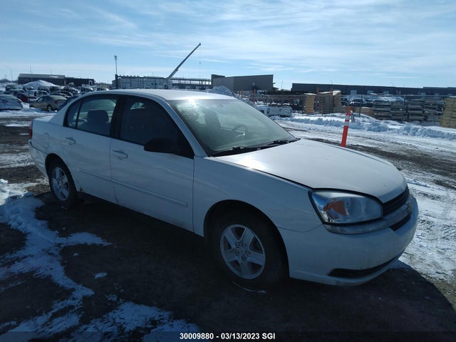 Chevrolet MALIBU LS 2005 1G1ZT528X5F192085 главное изображение
