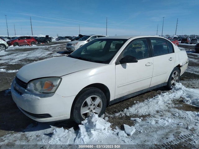 Chevrolet MALIBU LS 2005 1G1ZT528X5F192085 Image 2