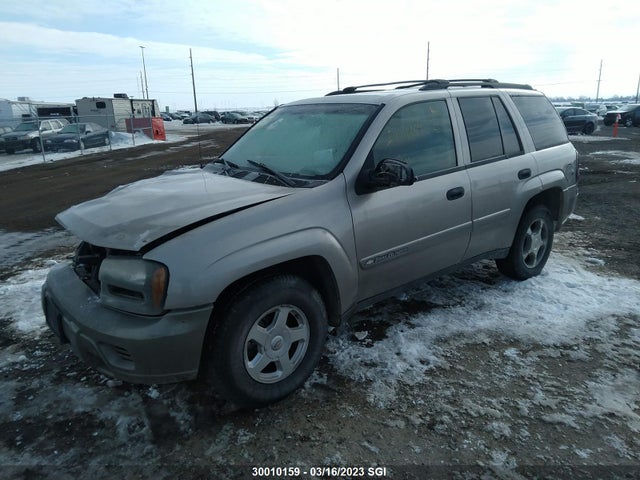 Chevrolet Trailblazer 2002 1GNDT13SX22394181 Image 2