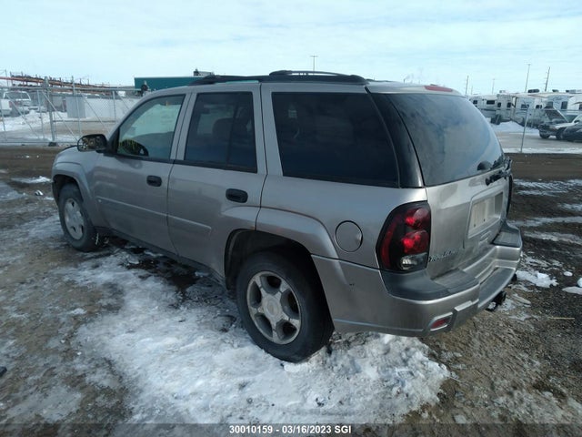 Chevrolet Trailblazer 2002 1GNDT13SX22394181 Image 4