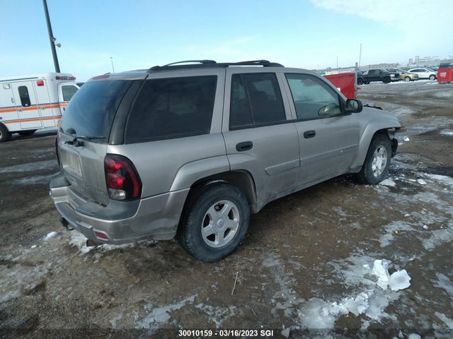 Chevrolet Trailblazer 2002 1GNDT13SX22394181 Image 5