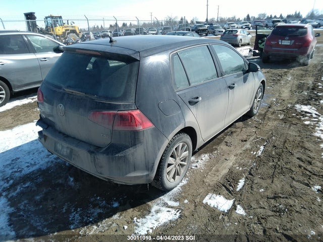 3VW217AU7HM061464 Volkswagen Golf S/wolfsburg/se/sel