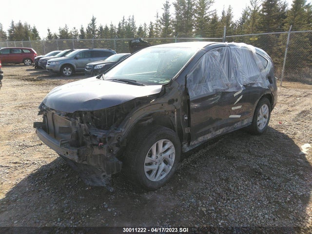 Honda CR-V EX 2015 2HKRM4H54FH102531 Image 2