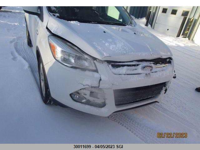 Ford ESCAPE SE 2014 1FMCU9GX0EUA79609 Image 1
