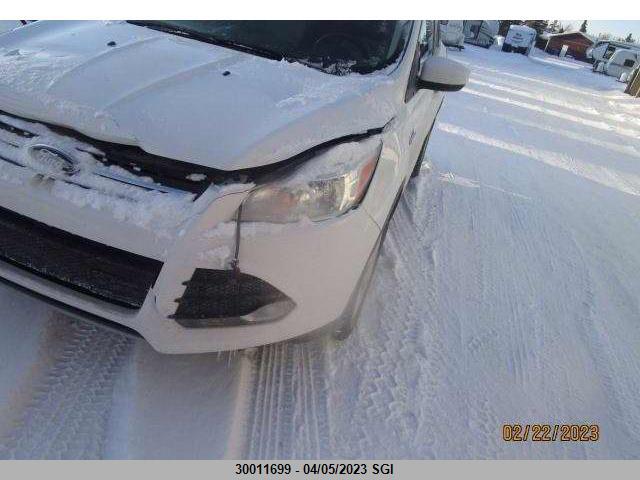 Ford ESCAPE SE 2014 1FMCU9GX0EUA79609 Image 2