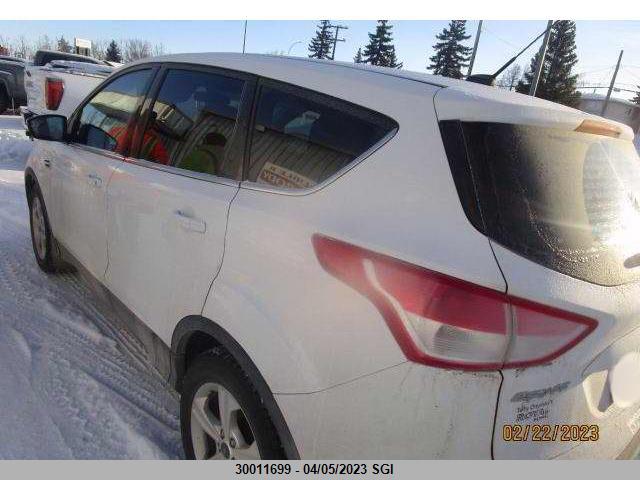 Ford ESCAPE SE 2014 1FMCU9GX0EUA79609 Image 3