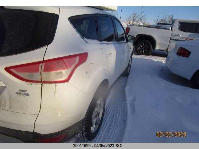 Ford ESCAPE SE 2014 1FMCU9GX0EUA79609 Image 4