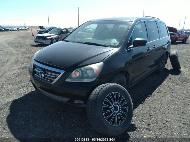 2007 Honda Odyssey Exl მანქანა იყიდება აუქციონზე, vin: 5FNRL38607B513771, აუქციონის ნომერი: 30013813