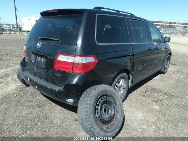 2007 Honda Odyssey Exl მანქანა იყიდება აუქციონზე, vin: 5FNRL38607B513771, აუქციონის ნომერი: 30013813