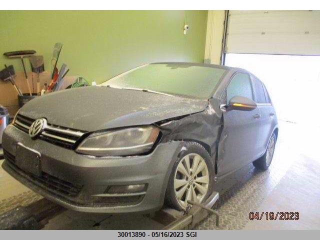 3VW117AU5GM021653 Volkswagen GOLF S
